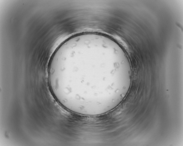 X0000095911287200802011142