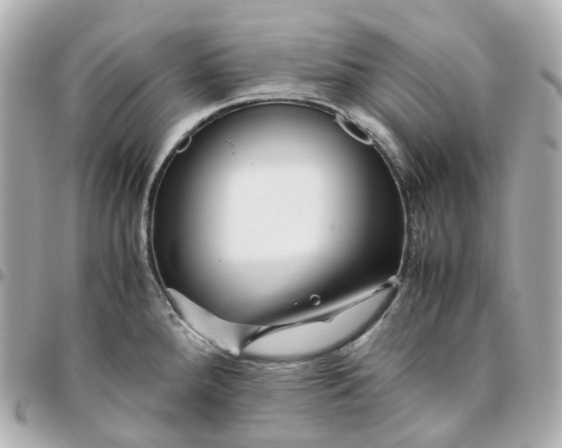 X0000095911288200802011142