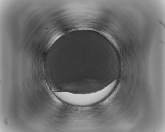 X0000095911289200802011142