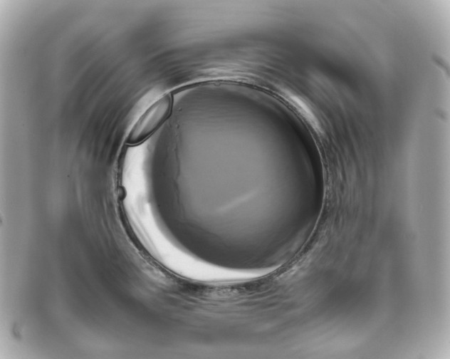 X0000095911291200802011142