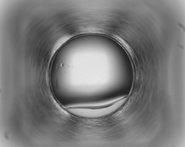 X0000095911293200802011142