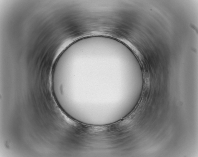 X0000095911294200802011142