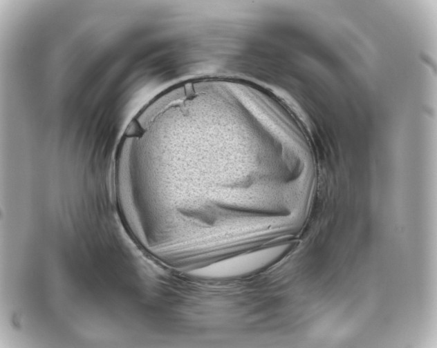 X0000095911295200802011142