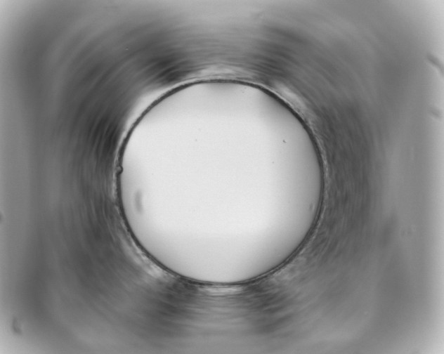 X0000095911296200802011142