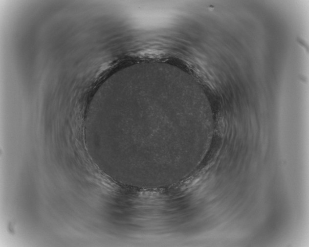 X0000095911297200802011141