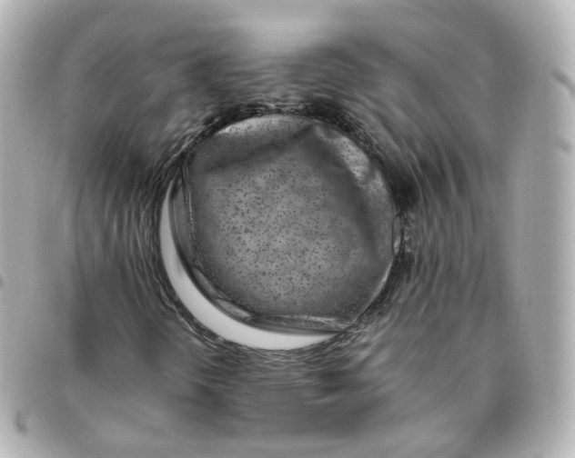 X0000095911298200802011141