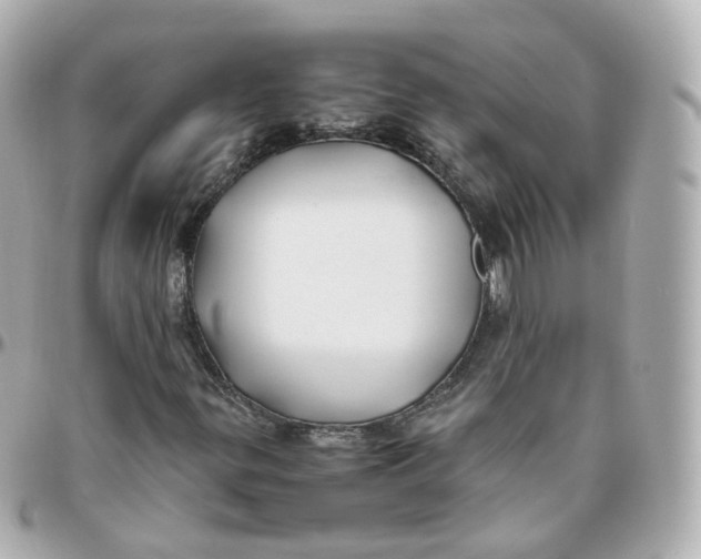 X0000095911299200802011141