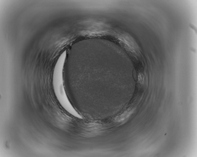 X0000095911300200802011141