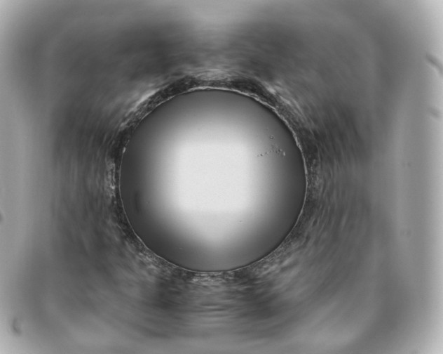 X0000095911301200802011142