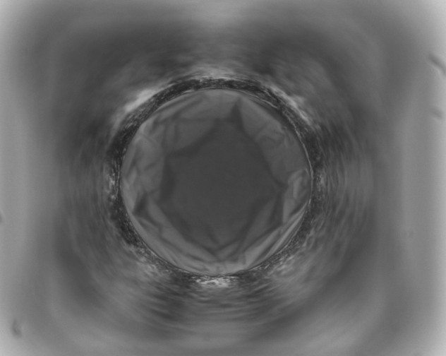 X0000095911303200802011142