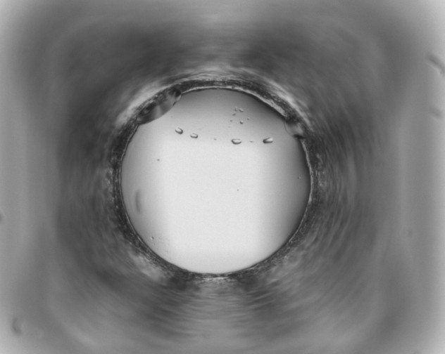 X0000095911304200802011142