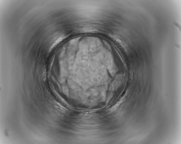 X0000095911306200802011142