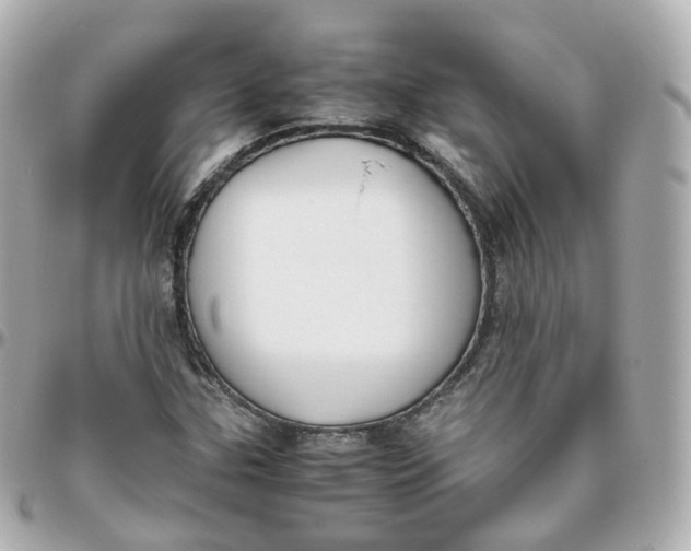 X0000095911307200802011142