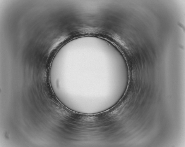 X0000095911309200802011142