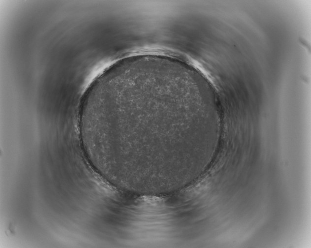 X0000095911312200802011142