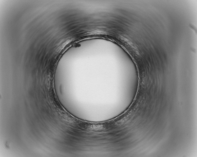 X0000095911313200802011142