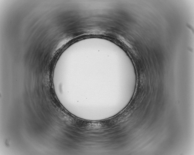 X0000095911315200802011142