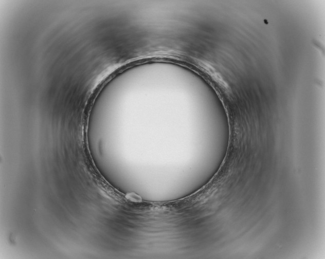 X0000095911316200802011142