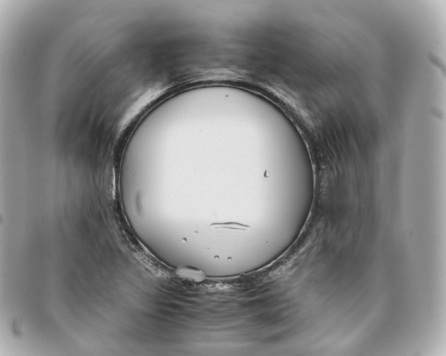 X0000095911317200802011142