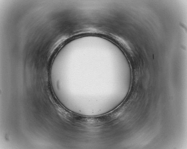 X0000095911318200802011142