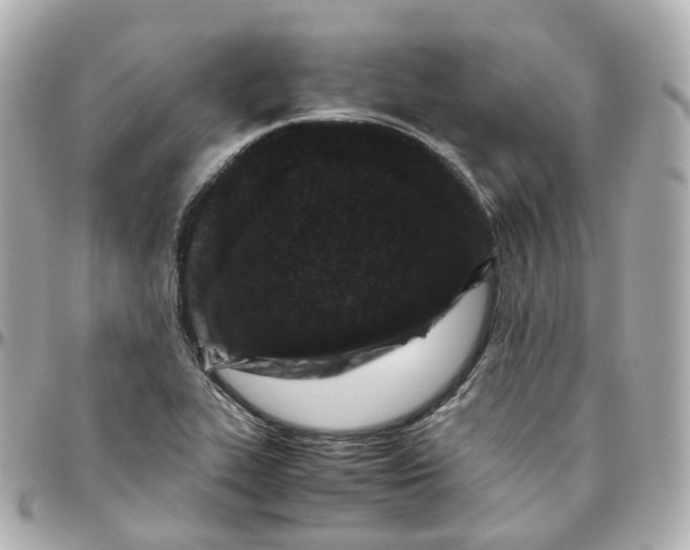 X0000095911319200802011142