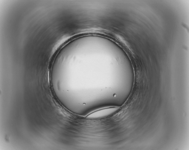 X0000095911320200802011142