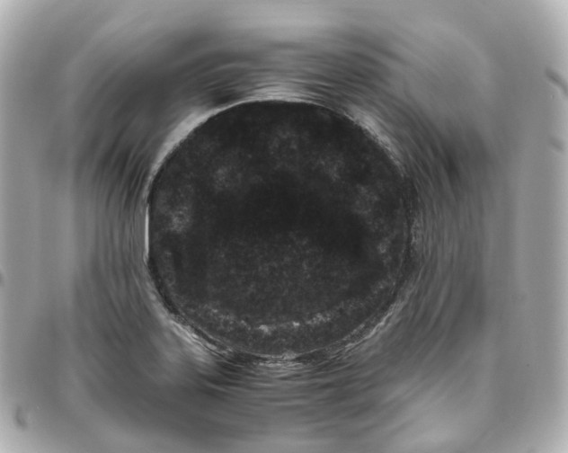 X0000095911323200802011142