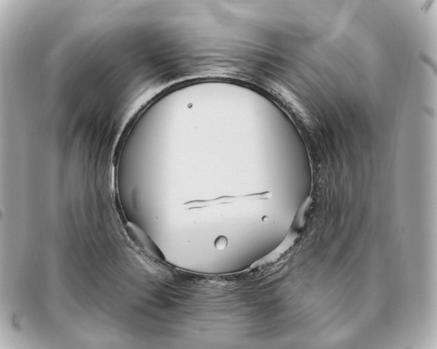 X0000095911324200802011142