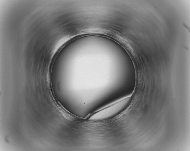 X0000095911328200802011142