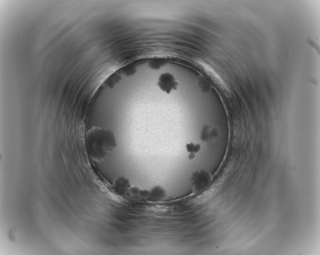 X0000095911329200802011142