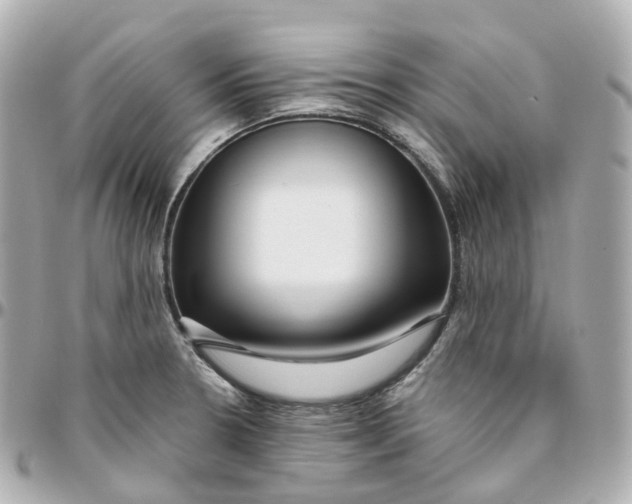 X0000095911330200802011142