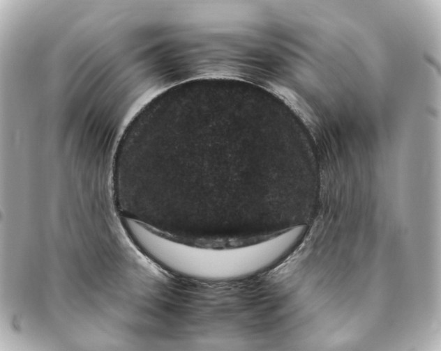 X0000095911331200802011142