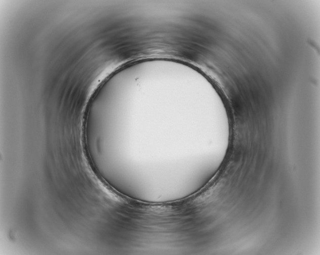 X0000095911333200802011142