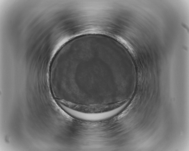 X0000095911334200802011142