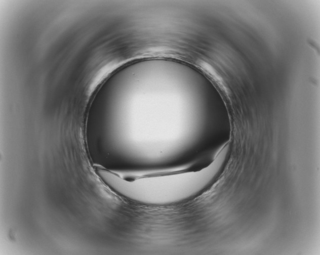 X0000095911336200802011142