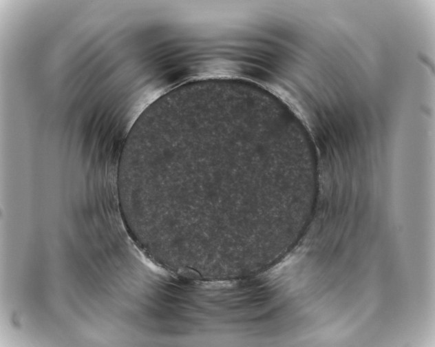 X0000095911337200802011142