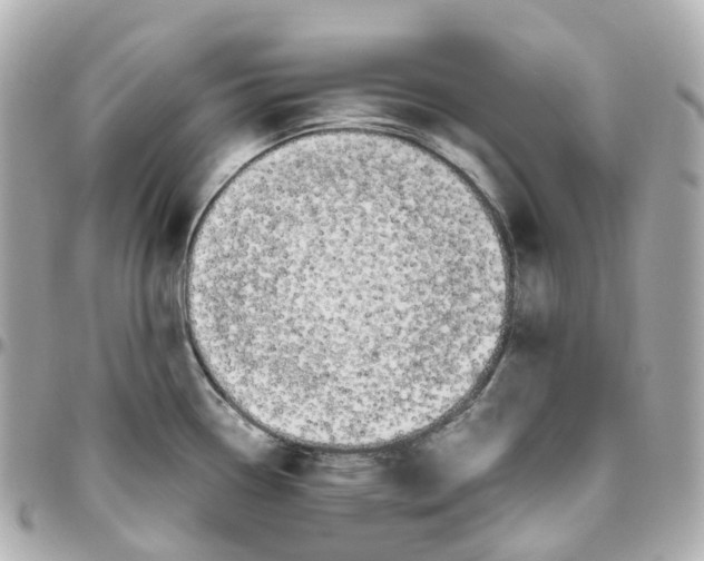 X0000095911338200802011142