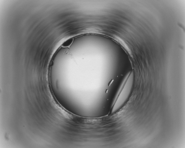 X0000095911339200802011142