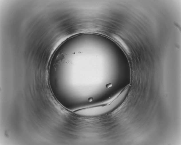 X0000095911340200802011142