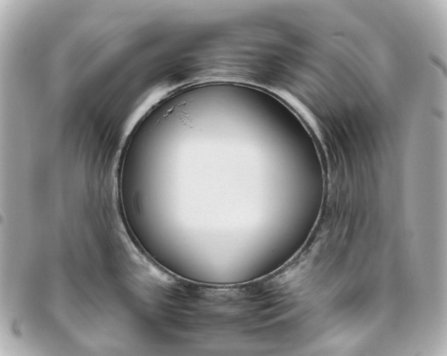 X0000095911341200802011142