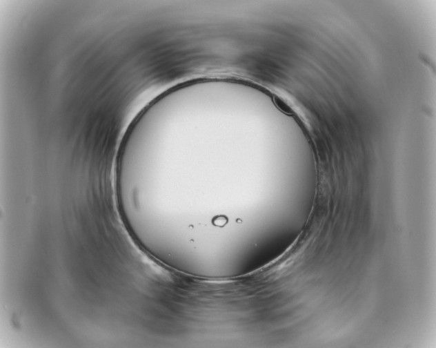 X0000095911343200802011142