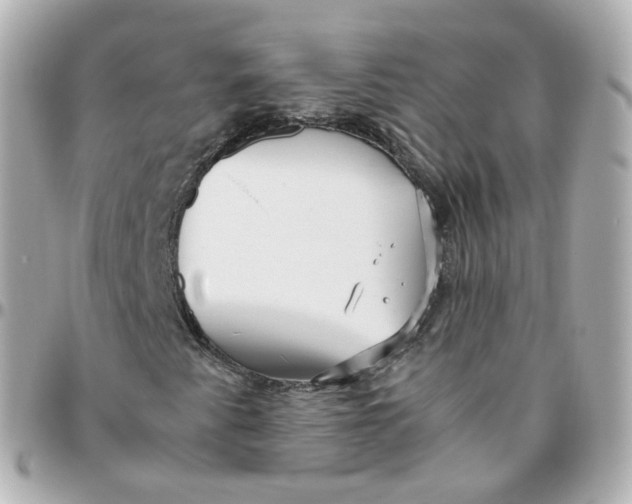 X0000095911345200802011141