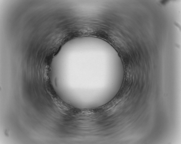 X0000095911346200802011141