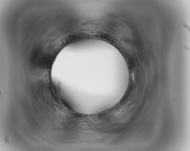 X0000095911347200802011141