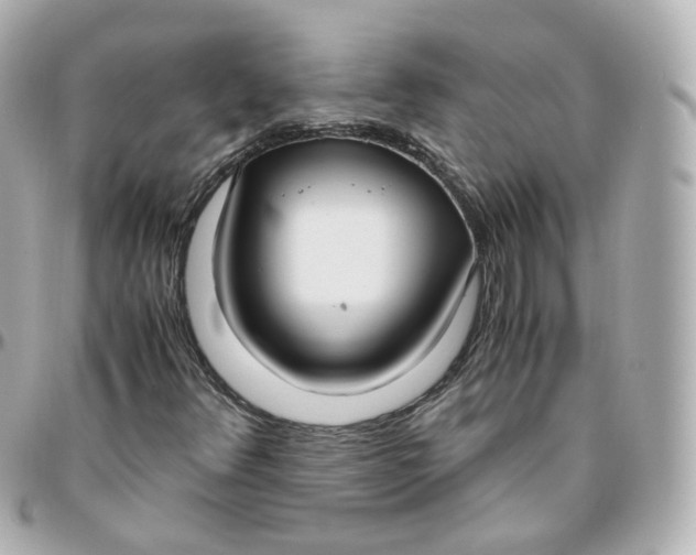 X0000095911348200802011141