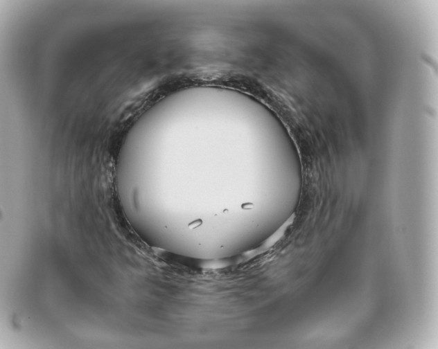 X0000095911349200802011141