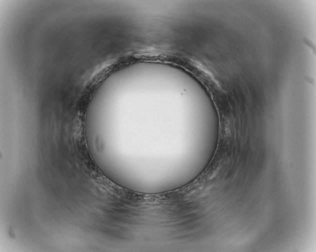 X0000095911350200802011141