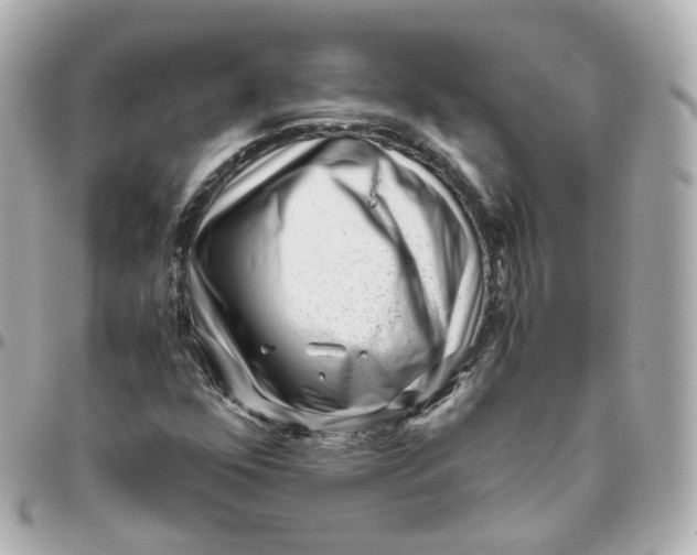 X0000095911352200802011141