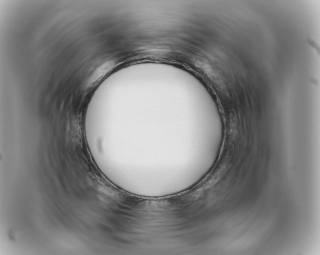 X0000095911354200802011141