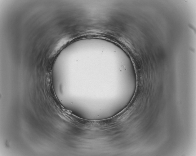 X0000095911355200802011141